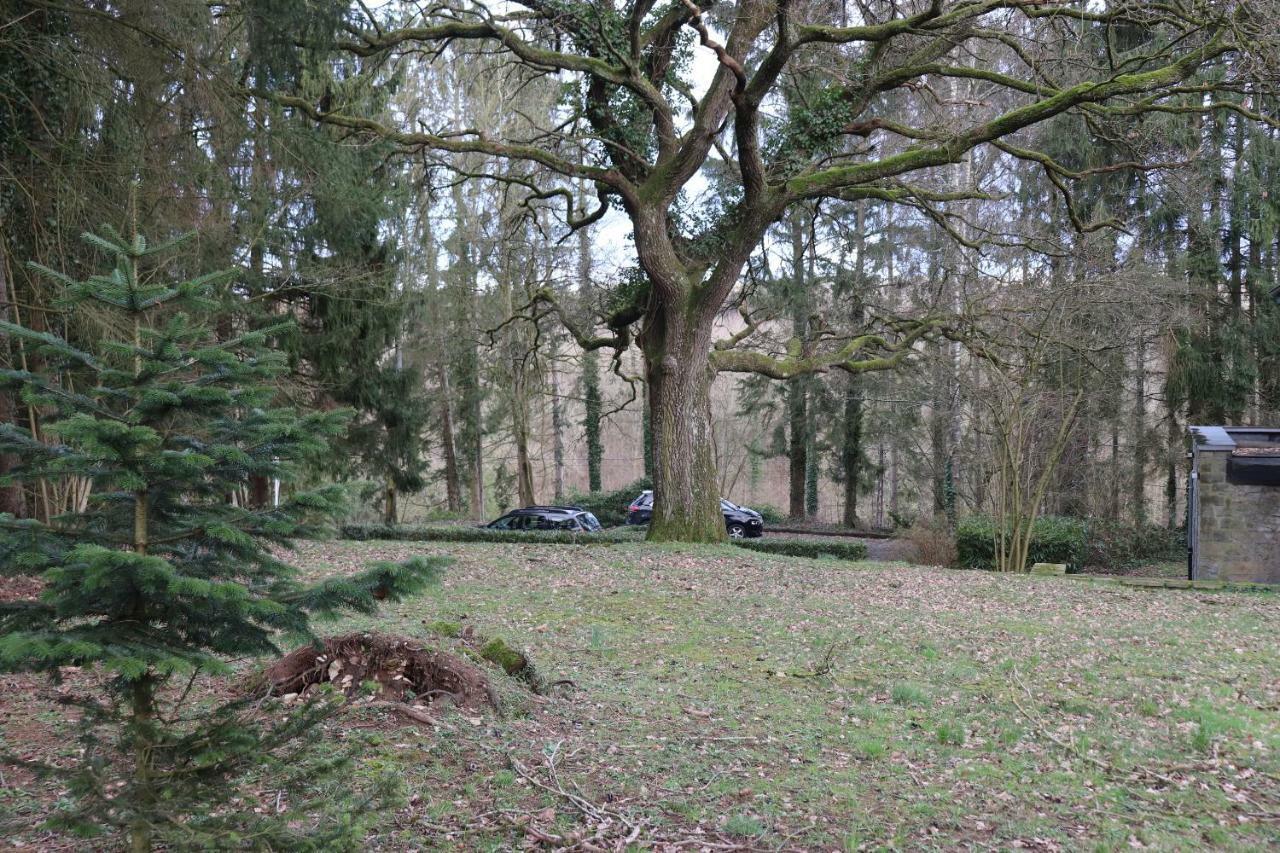 Le Portail Des Ardennes Villa Nassogne Esterno foto